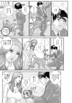 Page 244