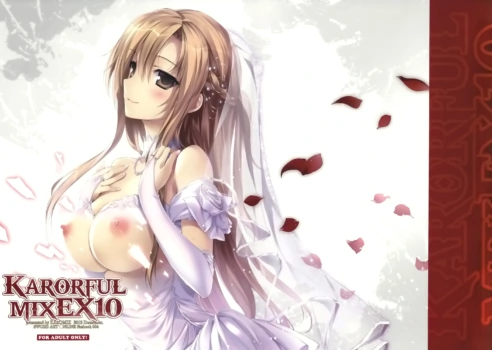 (C83) [KAROMIX (karory)] KARORFUL MIX EX10 (Sword Art Online) [Chinese] [空気系★漢化]