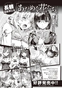 Page 447