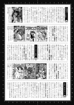 Page 238