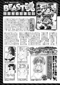 Page 291