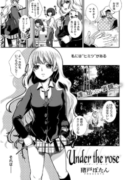 Page 261