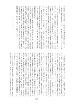 Page 217