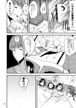 Page 101