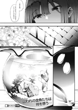 Page 237