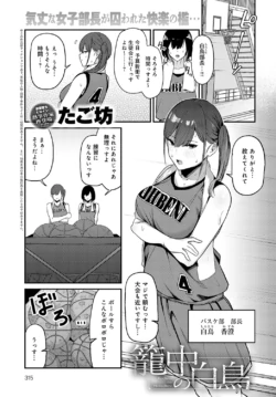 Page 316