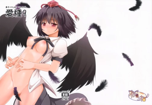 (C84) [Neko no Kone (Takeyu)] Aidane 9 (Touhou Project)