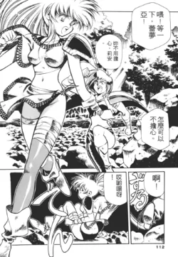 Page 112