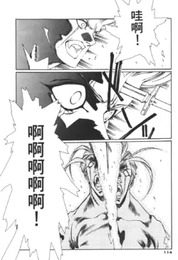 Page 114