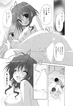 Page 261