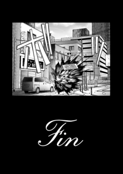 Page 251