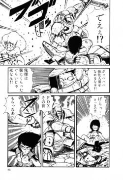 Page 85