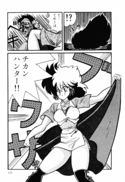 Page 113