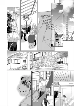 Page 251