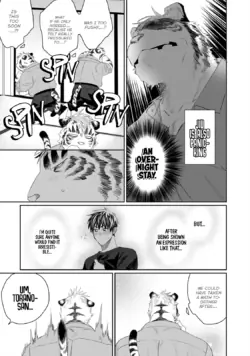 Page 279