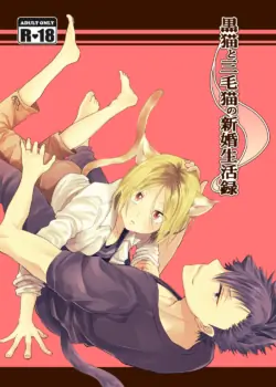 [Nabahaze (Kurosuke)] Kuroneko to Mikeneko no Shinkon Seikatsuroku (Haikyuu!!) [Digital]
