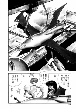 Page 113