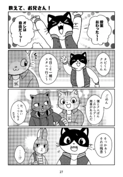 Page 27