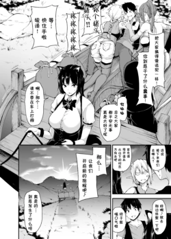 Page 251