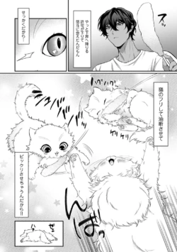 Page 282