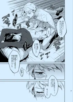 Page 27