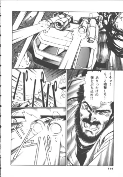 Page 117