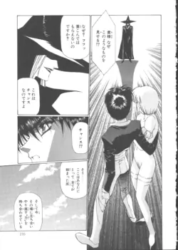 Page 243