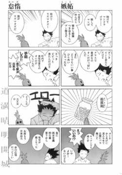 Page 251