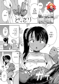 [Annomike] Sewayaki Mesugaki Obaa-chan | 챙겨주는 메스가키 오바아쨩 (Omase na Emotion - Emotional girls on the rampage) [Korean] [Team Edge] [Digital]