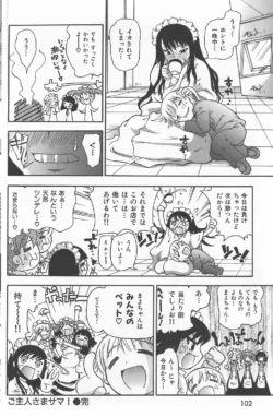 Page 102