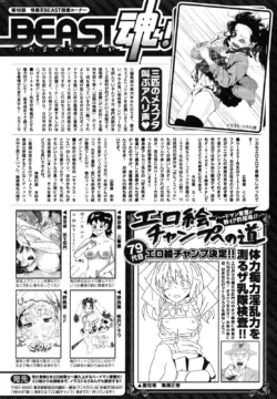 Page 261
