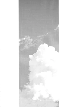 Page 223