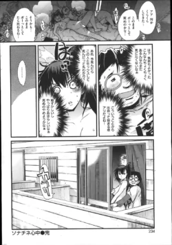Page 234