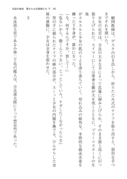 Page 26