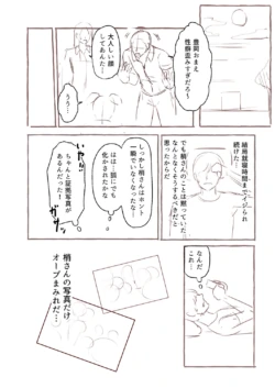 Page 233