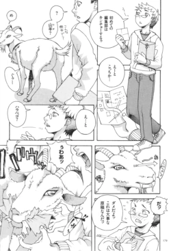 Page 181