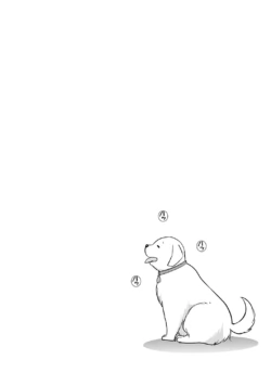 Page 219