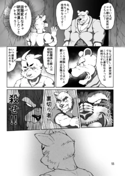 Page 55