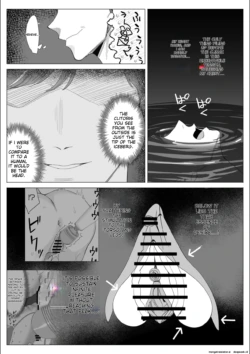 Page 213