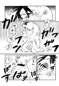 Page 35