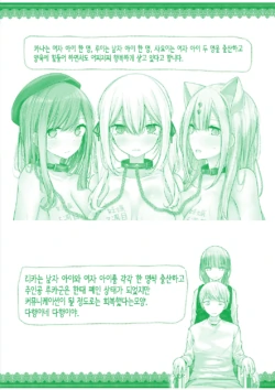 Page 257