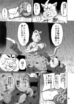 Page 35