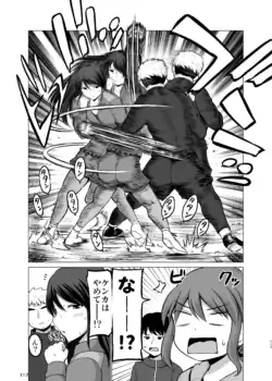 Page 117