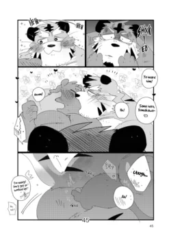 Page 45