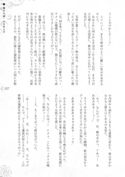 Page 393