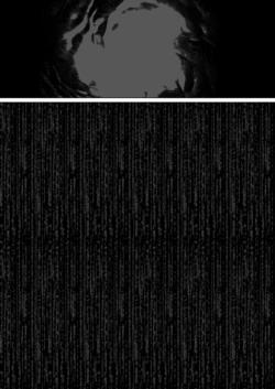 Page 334