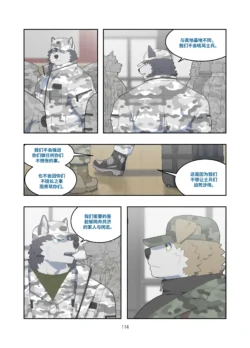 Page 113