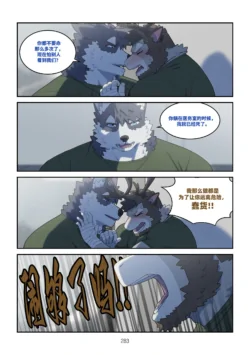 Page 282