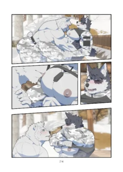 Page 213