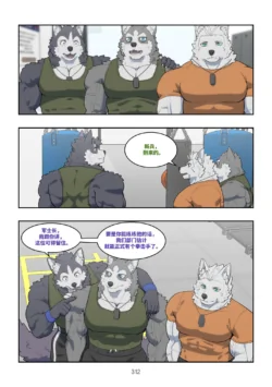 Page 311